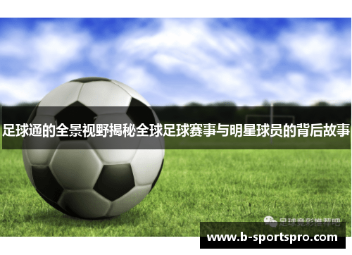 足球通的全景视野揭秘全球足球赛事与明星球员的背后故事